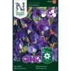 Ærteblomst 'Lord Nelson' Lathyrus Odoratus L. 'Lord Nelson' -Siriu Planter Butik p33920 37266 lathyrus odoratus l lord nelson 7818