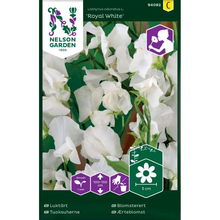 Ærteblomst 'Royal White' Lathyrus Odoratus L. 'Royal White' 3 Ærteblomst 'Royal White' Lathyrus Odoratus L. 'Royal White'