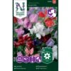 Ærteblomst 'Royal Mix' Big Pack Lathyrus Odoratus L. 'Royal' Mix 2 Ærteblomst 'Royal Mix' Big Pack Lathyrus Odoratus L. 'Royal' Mix -Siriu Planter Butik p33927 37273 lathyrus odoratus l royal mix 67f2
