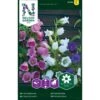 Marieklokke Mix Campanula Medium L. -Siriu Planter Butik p33934 37279 campanula medium l 2898