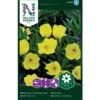 Krybenede Natlys Oenothera Macrocarpa -Siriu Planter Butik p33936 37281 oenothera macrocarpa 7ce7