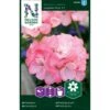 Pelargonie 'Inspire Pink' F1 Pelargonium X Hortorum 'Inspire Pink' F1