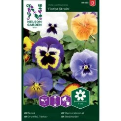 Stedmoder 'Florist Strain' Mix Viola X Wittrockiana 'Florist Strain'