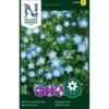 Blå Øjeblomst Nemophila Menziesii -Siriu Planter Butik p33955 37294 nemophila menziesii e73e