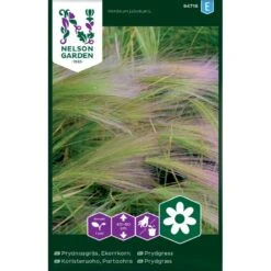 Egernhalebyg Hordeum Jubatum L.