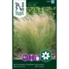 Prydgræs 'Pony Tails' Nassella Tenuissima 'Pony Tails' -Siriu Planter Butik p33960 37299 nassella tenuissima pony tails d520