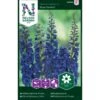 Pragtridderspore 'Blue Donna' Delphinium Belladonna 'Blue Donna' -Siriu Planter Butik p33967 37305 delphinium belladonna blue donna 4b91