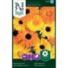 Lav Morgenfrue 'Daisy Citrus' Mix Calendula Officinalis 'Daisy Citrus' Mix -Siriu Planter Butik p33972 37310 calendula officinalis daisy citrus mix cc29
