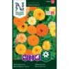 Lav Morgenfrue 'Fiesta Gitana' Calendula Officinalis 'Fiesta Gitana' -Siriu Planter Butik p33973 37311 calendula officinalis fiesta gitana 6561