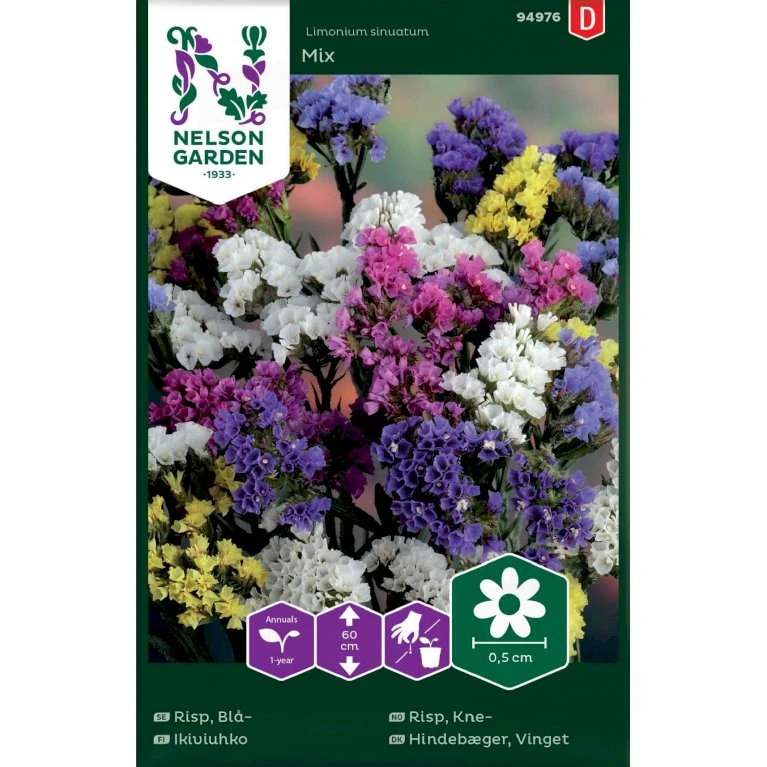 Vinget Hindebæger Mix Limonium Sinuatum Mix 3 Vinget Hindebæger Mix Limonium Sinuatum Mix