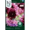 Stolt Kavaler 'Double Click' Cosmos Bipinnatus 'Double Click' 1 Stolt Kavaler 'Double Click' Cosmos Bipinnatus 'Double Click' -Siriu Planter Butik p33985 37322 cosmos bipinnatus double click 5dad