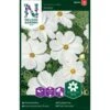 Stolt Kavaler 'Purity' Cosmos Bipinnatus 'Purity' -Siriu Planter Butik p33988 37325 cosmos bipinnatus purity 3d40