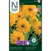 Håret Solhat 'Maya' Rudbeckia Hirta Var. Pulcherrima 'Maya' -Siriu Planter Butik p33994 37330 rudbeckia hirta var pulcherrima maya 89a7