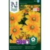 Håret Solhat 'Praire Sun' Rudbeckia Hirta Var. Pulcherrima 'Prairie Sun' -Siriu Planter Butik p33995 37331 rudbeckia hirta var pulcherrima prairie sun bfb2