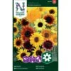 Høj Solsikke 'Wilde Mixture' Helianthus Annuus 'Wilde Mixture' -Siriu Planter Butik p34003 37337 helianthus annuus wilde mixture ba67