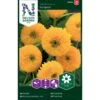 Lav Solsikke 'Sungold' Helianthus Annuus 'Sungold' -Siriu Planter Butik p34011 37343 helianthus annuus sungold 73ab