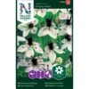 Jomfru I Det Grønne 'African Bride' Nigella Hispanica 'African Bride' 1 Jomfru I Det Grønne 'African Bride' Nigella Hispanica 'African Bride' -Siriu Planter Butik p34018 37349 nigella hispanica african bride b727