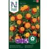Fløjlsblomst 'Tiger Eyes' Tagetes Patula 'Tiger Eyes' -Siriu Planter Butik p34035 37364 tagetes patula tiger eyes 376e