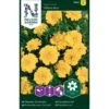 Fløjlsblomst 'Yellow Boy' Tagetes Patula 'Yellow Boy' -Siriu Planter Butik p34037 37366 tagetes patula yellow boy a872