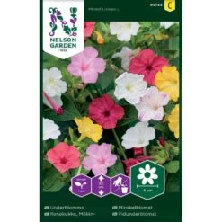 Vidunderblomst Mix Mirabilis Jalapa L.