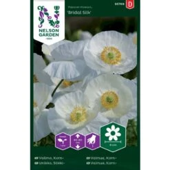 Kornvalmue 'Bridal Silk' Papaver Rhoeas L. 'Bridal Silk'
