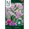Flerårig Ærteblomst Rosa-Hvid Lathyrus Latifolius L. -Siriu Planter Butik p34055 37378 lathyrus latifolius l 804f