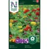 Frøkenhat 'Graffiti' Zinnia Elegans 'Graffiti' -Siriu Planter Butik p34065 37387 zinnia elegans graffiti 644a