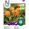 Morgenfrue Øko Calendula Officinalis Frøpose, Antal Pr. Pakke, Ca. 15 Stk. -Siriu Planter Butik p34124 54709 calendula officinalis c203