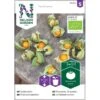 Ananaskirsebær Øko Physalis Grisea Frøpose, Antal Pr. Pakke, Ca. 4 Stk. -Siriu Planter Butik p34145 22164 jordbaertomat af1e