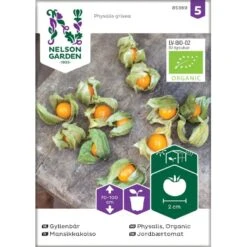 Ananaskirsebær Øko Physalis Grisea Frøpose, Antal Pr. Pakke, Ca. 4 Stk.