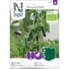 Skalært 'Blauwschokker' Øko Pisum Sativum 'Blauwschokker' Frøpose, Antal Pr. Pakke, Ca. 50 Stk. -Siriu Planter Butik p34595 30168 blauwschokker 0449