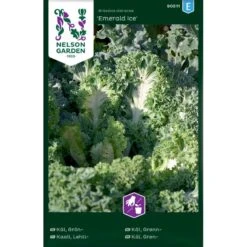 Grønkål 'Emerald Ice' Brassica Oleracea 'Emerald Ice'