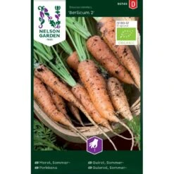 Sommergulerod 'Berlicum 2' Øko Daucus Carota L 'Berlicum 2'