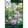 Blå Honningurt Øko Phacelia Tanacetifolia -Siriu Planter Butik p34617 30160 phacelia tanacetifolia 2ca5