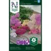 Pastelrøllike 'Summer Pastels' F2 Achillea 'Summer Pastels' F2 -Siriu Planter Butik p34621 30164 achillea 0604
