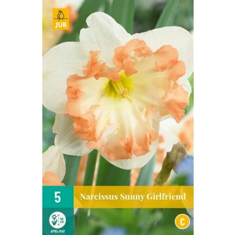Påskelilje 'Sunny Girlfriend' Narcissus 'Sunny Girlfriend' Blomsterløg, Antal Pr. Pakke, Ca. 5 Stk. 3 Påskelilje 'Sunny Girlfriend' Narcissus 'Sunny Girlfriend' Blomsterløg, Antal Pr. Pakke, Ca. 5 Stk. - Billede 2