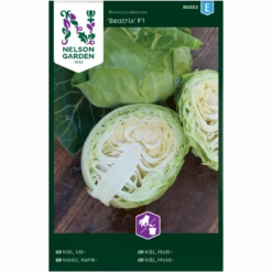 Hvidkål 'Beatrix' F1 Brassica Oleracea 'Beatrix' F1