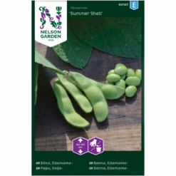Edamamebønne 'Summer Shell' Glycine Max 'Summer Shell'