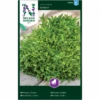 Pluksalat 'Skilton' Lactuca Sativa 'Skilton' -Siriu Planter Butik p34785 34766 lactuca sativa skilton 54ae