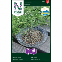 Grønlinse 'Anicia' Lens Culinaris 'Anicia'