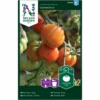 Bøftomat 'Canestrino' Solanum Lycopersicum 'Canestrino' -Siriu Planter Butik p34792 34773 solanum lycopersicum canestrino a9df