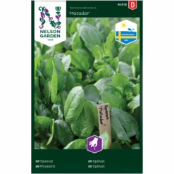 Spinat 'Matador' Spinacia Oleracea L. 'Matador'