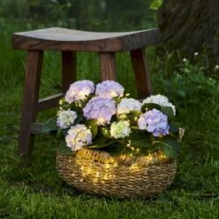 Knirke LED Cluster Med Stik Sirius Knirke Cluster 160 LED, 2m Lang -Siriu Planter Butik p35116 53759 sirius knirke cluster d83b