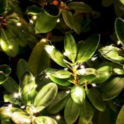 Knirke LED Med 15 Grene Sirius Knirke Gren 200 LED, 15 X 1,5m