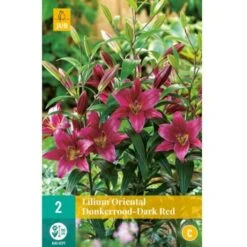 Orientalsk Lilje 'Dark Red' Lilium Oriental 'Dark Red' Blomsterløg, Antal Pr. Pakke, Ca. 2 Stk.