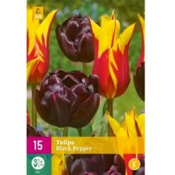 Tulipan 'Black Pepper' Mix XXL Tulips 'Black Pepper' Mix Blomsterløg, Antal Pr. Pakke, Ca. 15 Stk.