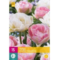 Tulipan 'Double Sensation' Mix XXL Tulips 'Double Sensation' Mix Blomsterløg, Antal Pr. Pakke, Ca. 15 Stk.