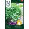 Bredbladet Persille 'Gigante D'Italia' Øko Petroselinum Crispum 'Gigante D'Italia' -Siriu Planter Butik p36923 43145 image dd74